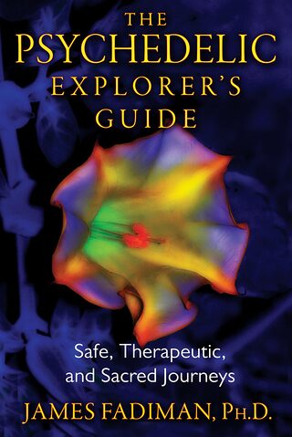 The Psychedelic Explorer's Guide — book cover