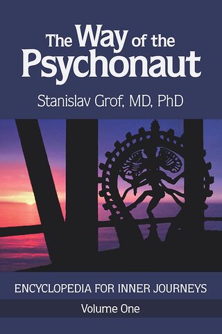 The Way of the Psychonaut — book cover